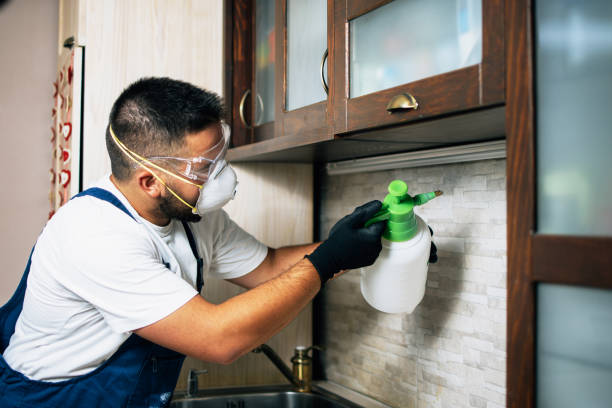 Best Residential Pest Control  in Buckingham, FL