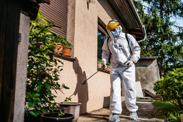 Best Spider Control Near Me  in Buckingham, FL