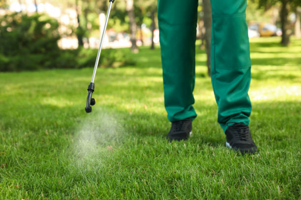 Best Best Pest Control Companies  in Buckingham, FL