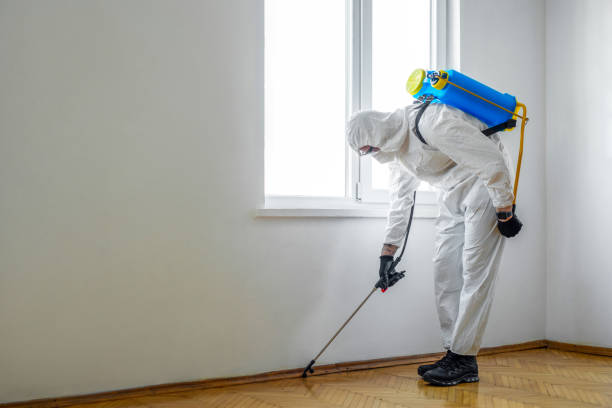 Best Exterminator Services  in Buckingham, FL